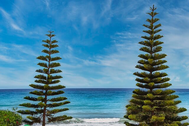 여름맞이 올리브영 추천템