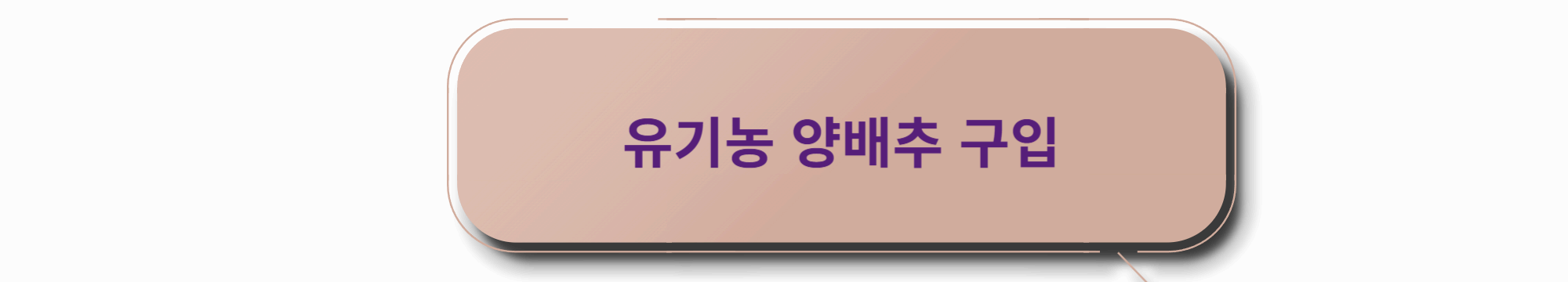 유기농 양배추 구입
