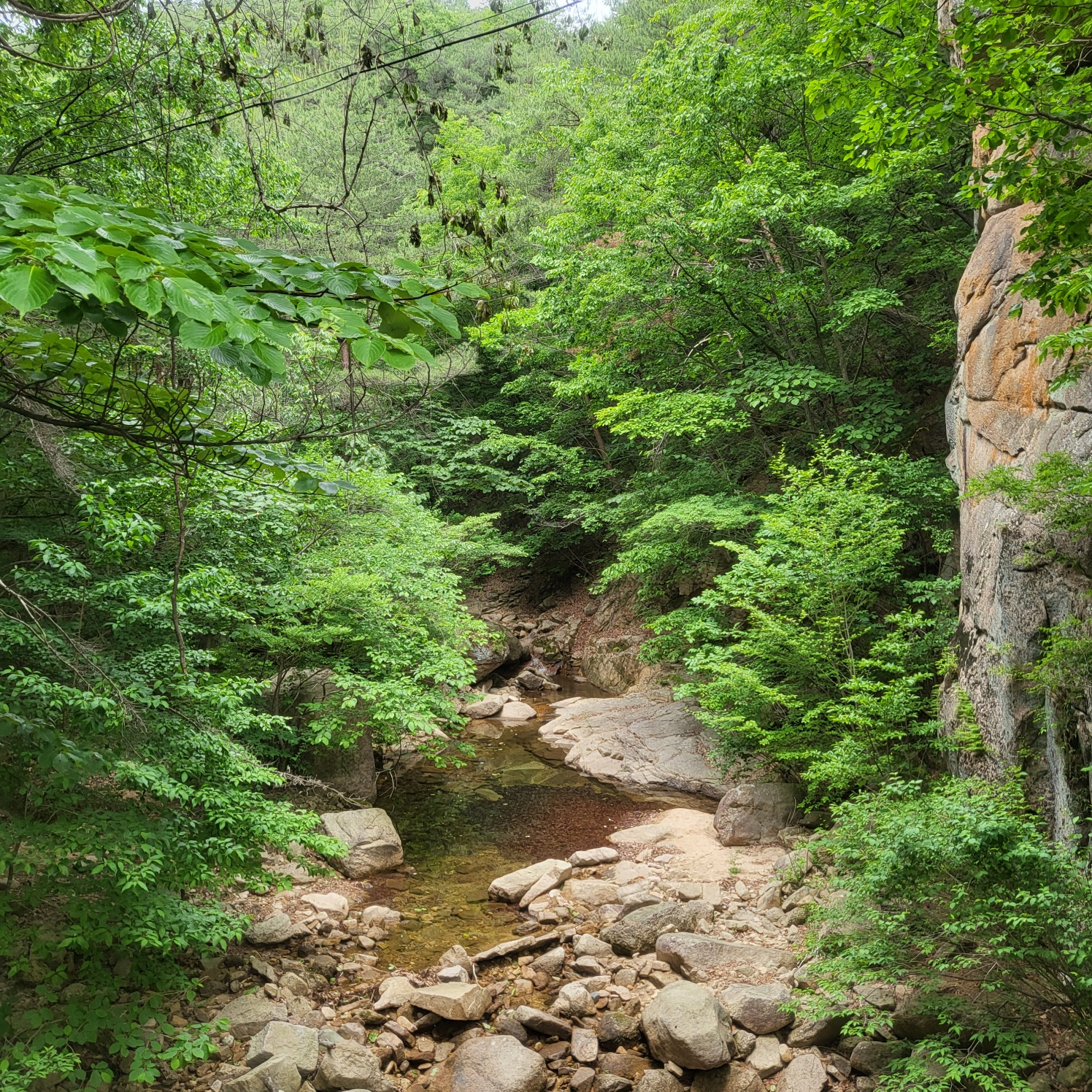 속리산 문장대(아이와 등산하기)