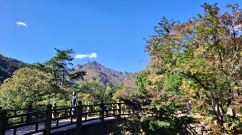 설악산_단풍여행_총정리