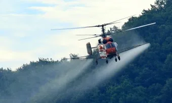 병해충 천적 활용 무당벌레 기생벌 끈끈이트랩 친환경 방제_5