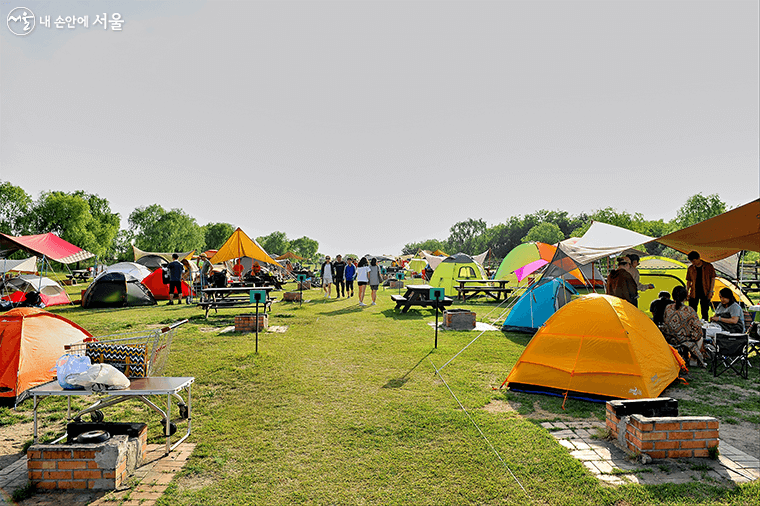 서울별빛캠핑 2025 접수 시작! 가족 캠핑&middot;별자리 관측&middot;환경 체험까지 완벽 정리