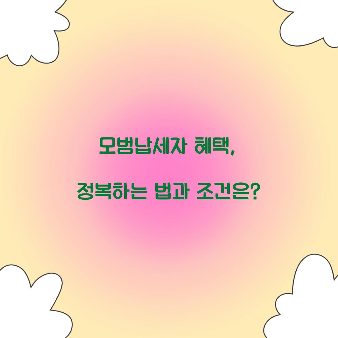 모범납세자 혜택