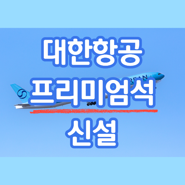 대한항공 프리미엄석 신설