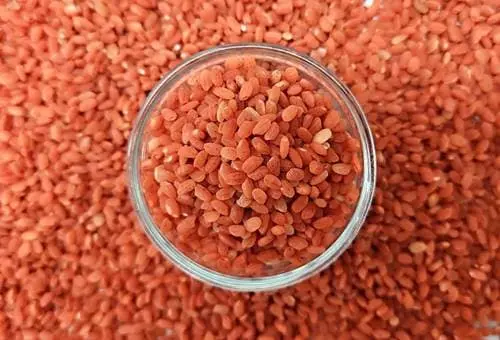 홍국쌀 발효와 코팅 차이