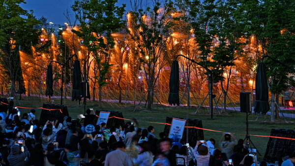 2025 세종낙화축제