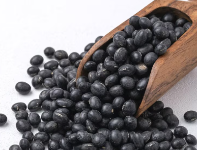 검은콩