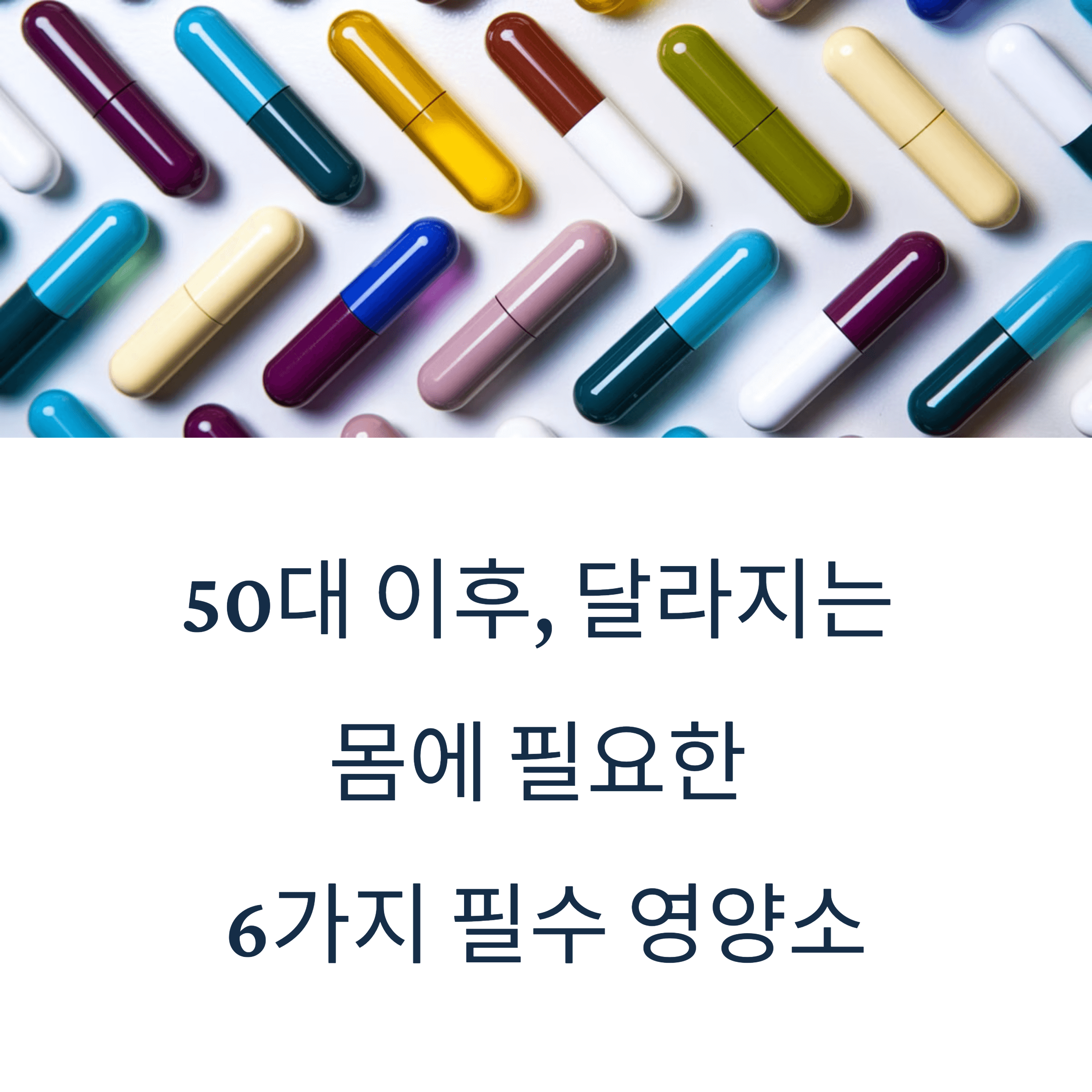 6가지 필수 영양소