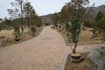 압해도 분재공원 근처 선착장에서의 낚시 농어와 도다리 포인트 소개 완벽 낚시터_18