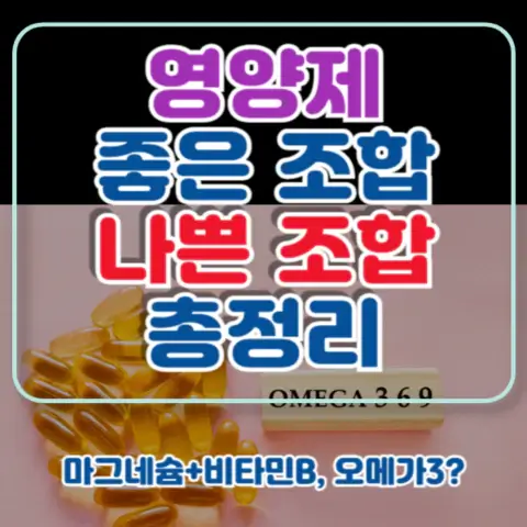 영양제-같이먹으면-좋은-조합