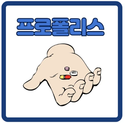 친구의 추천으로 먹게된 프로폴리스