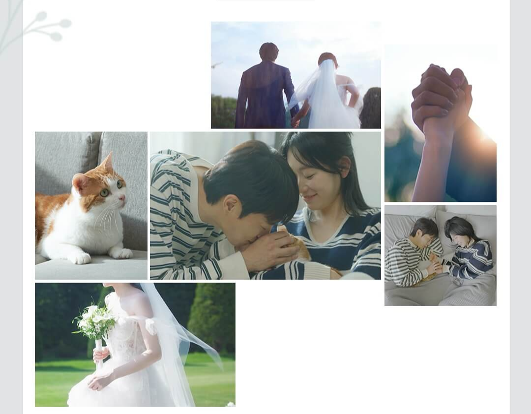 냥육권 전쟁