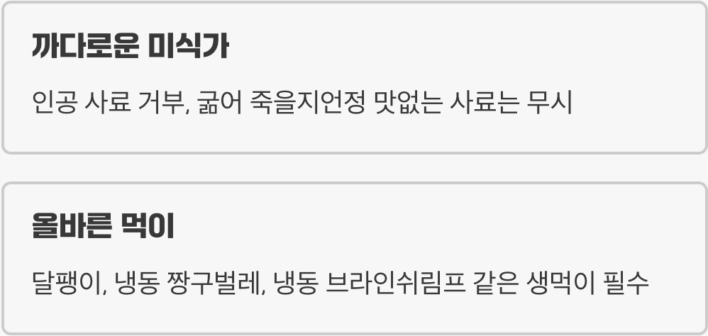 실수 1: &amp;#39;아무 사료나 먹겠지&amp;#39;라는 착각