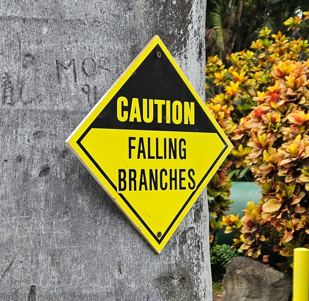 푸날루우 베이크샵 주차장