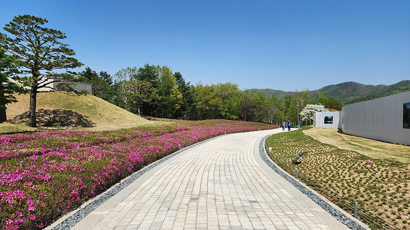 원주 뮤지엄산