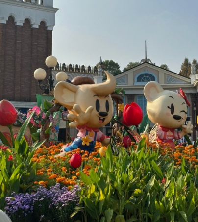 2024 에버랜드 은행나무숲산책 신청