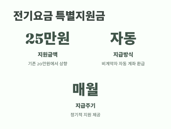 소상공인 특별지원금 2025 5