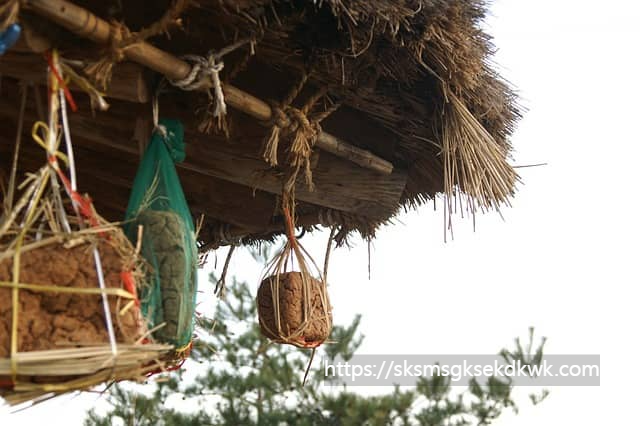 장의 핵심, 메주콩