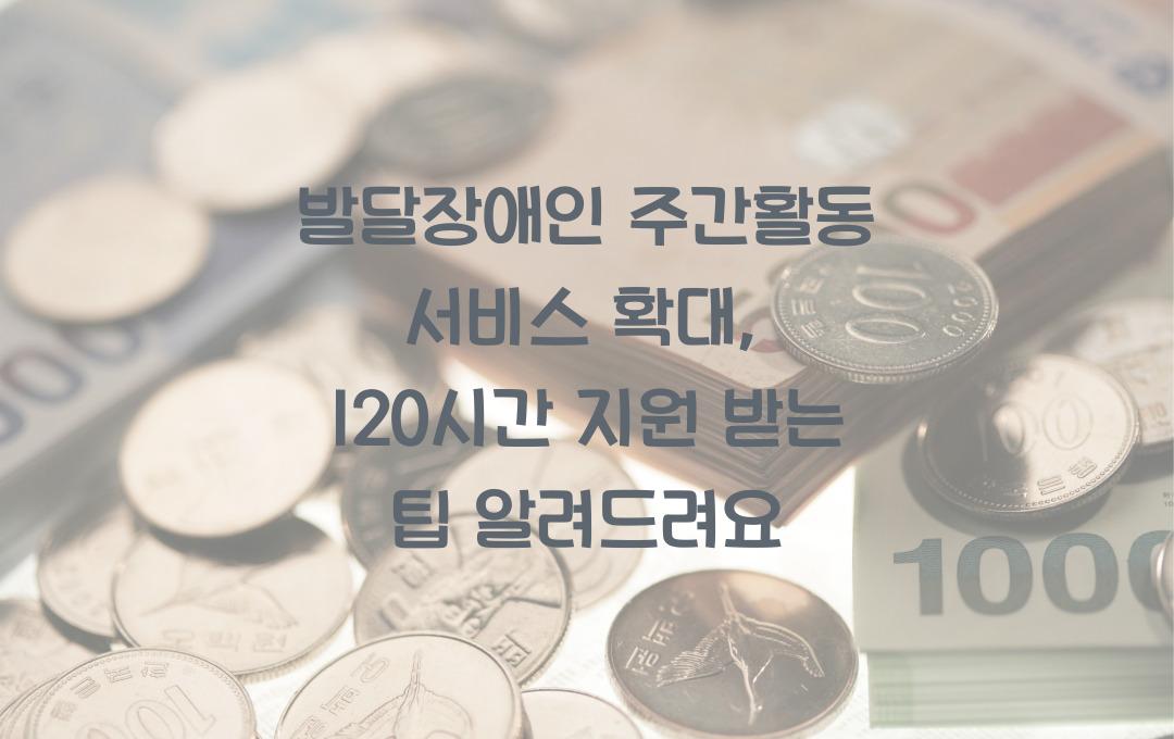 발달장애인 주간활동 서비스 확대, 월 120시간 활동 지원 받는 방법