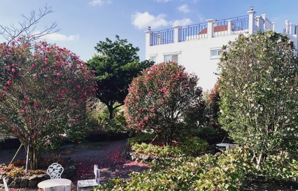 마노르블랑은 2천평이 넘는 정원에 7000여본에 장미와 유럽수국&amp;#44; 동백으로 꾸며진 환상적인 정원입니다