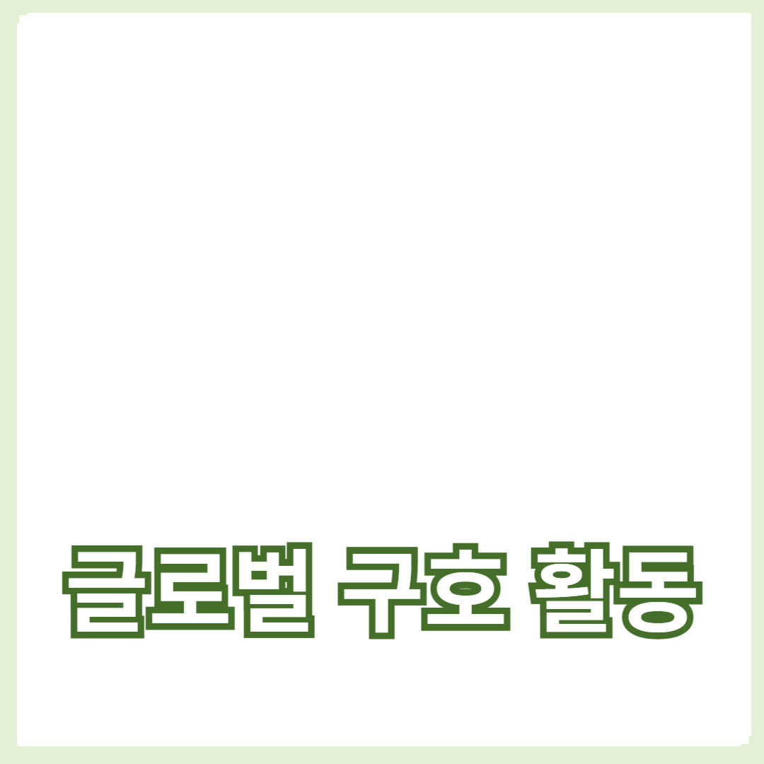 글로벌 구호 활동과 기부 캠페인, 국제 NGO 성공 사례들