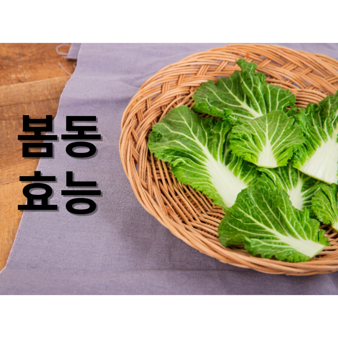 2월 제철음식 봄동 알아보기