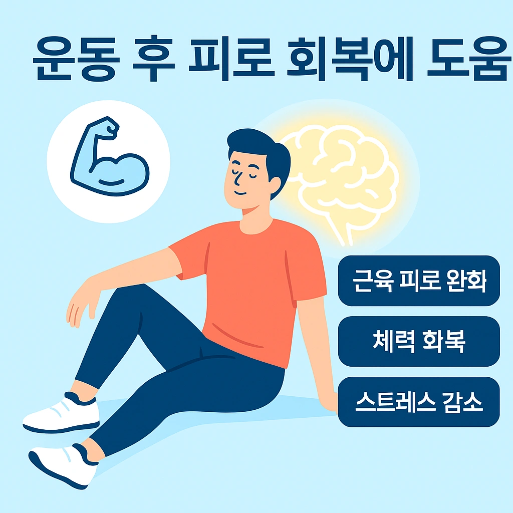 포스파티딜세린 집중력 향상 효과
