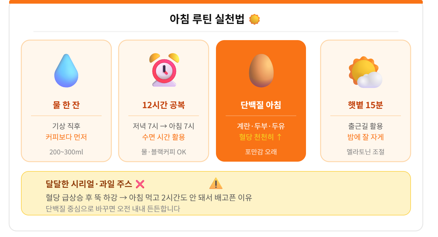 alt="다이어트 아침 루틴 물한잔 12시간공복 단백질계란두부두유 햇볕15분 달달한시리얼금지 티스토리 카드"
