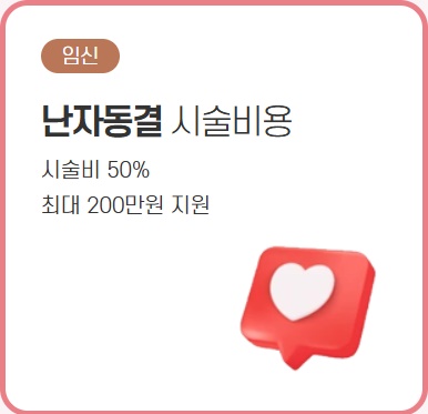 서울시 난자동결 시술 비용 신청방법 글 마무리