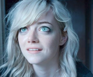 버드맨 관련 사진