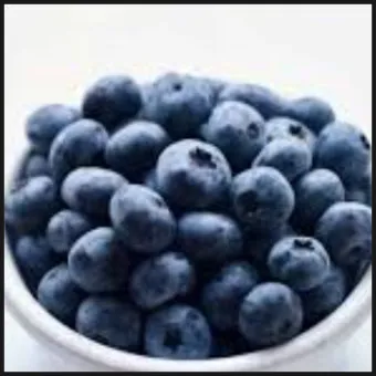 블루베리 효능 먹는법 하루 섭취량 쥬스_15