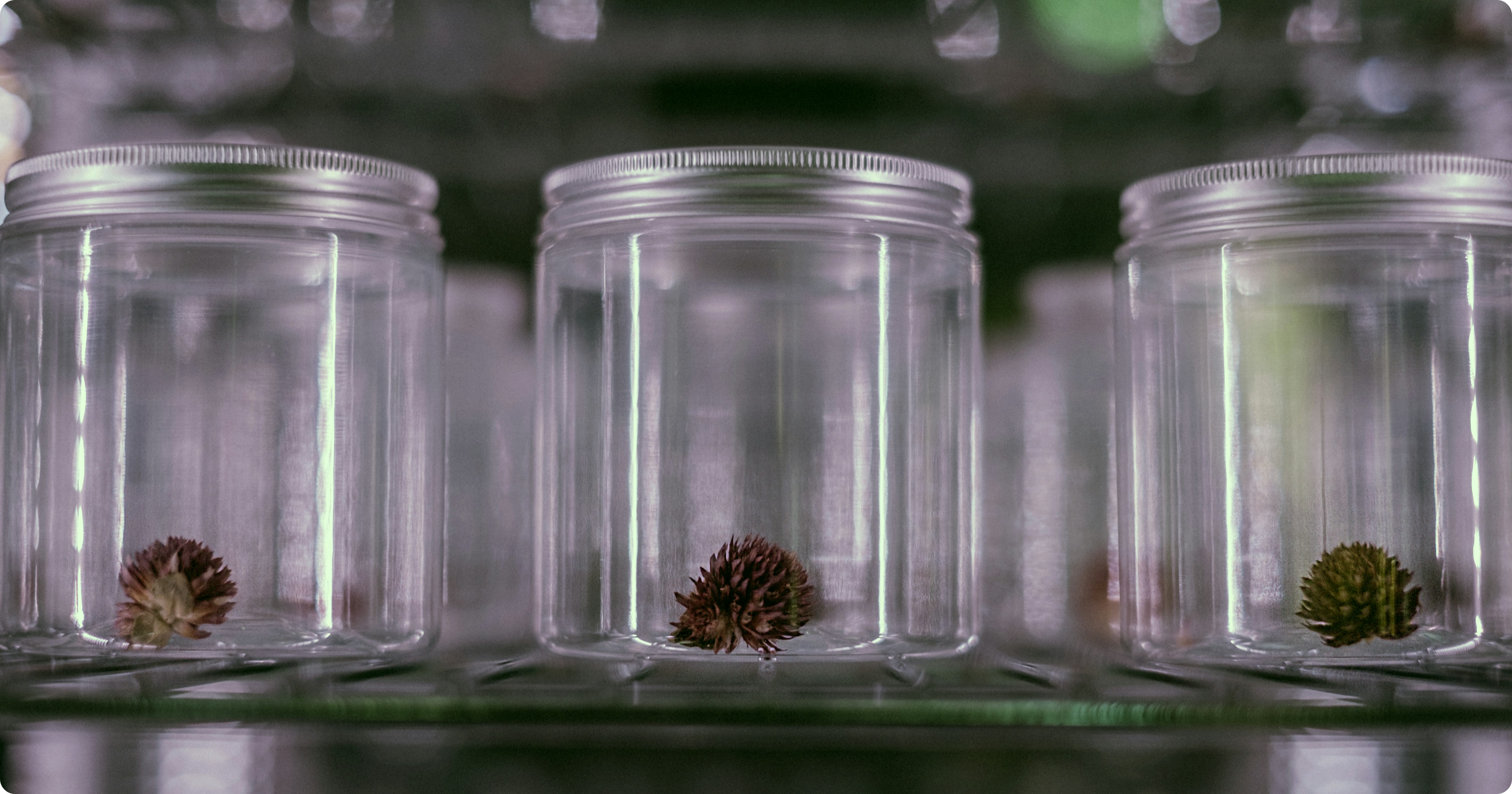incubator