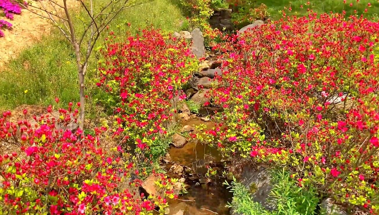 진천만뢰산-자연생태공원