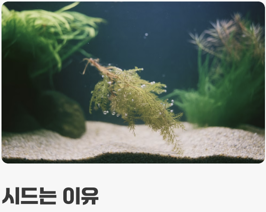 가장 중요한 비밀, '액체 비료' 한 방울