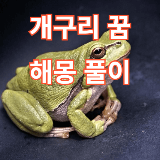 개구리 꿈 해몽 풀이