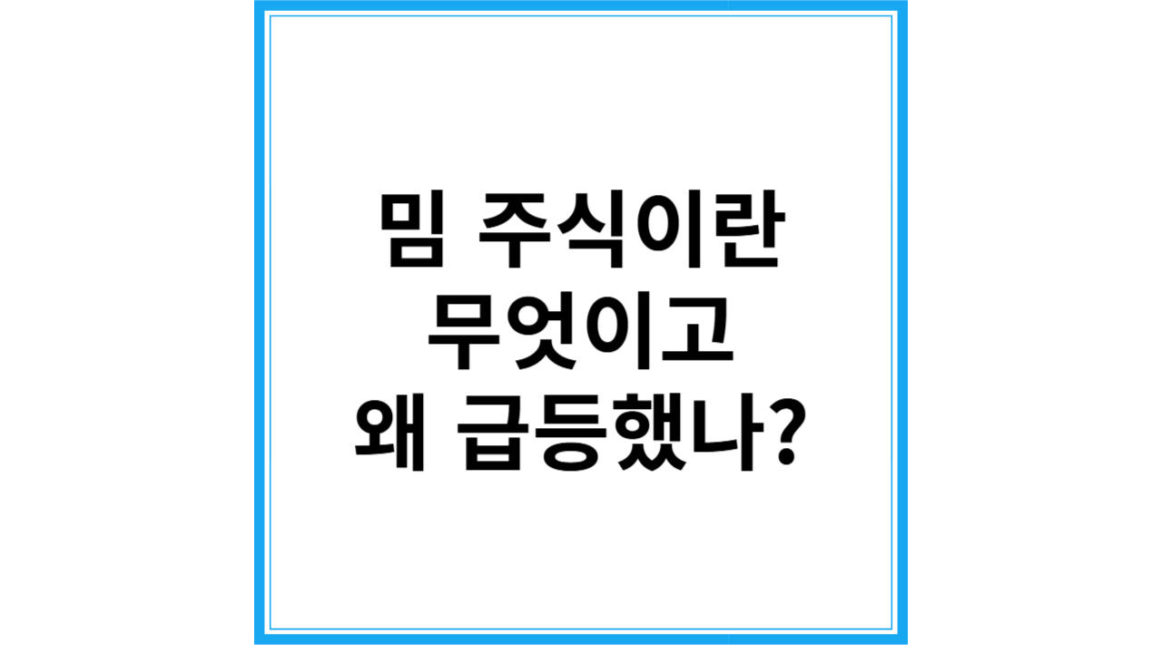 밈 주식