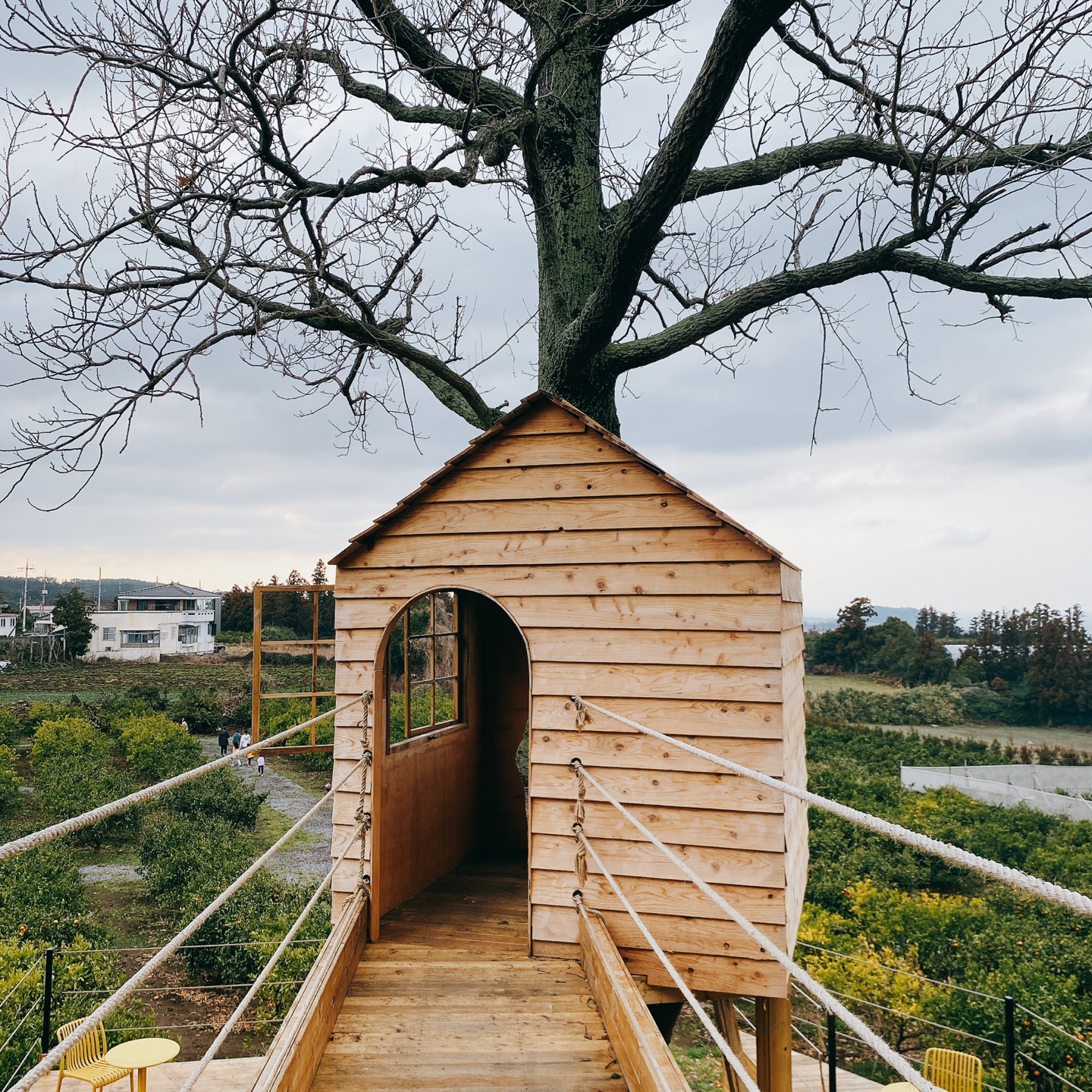 제주 애월 환혼 무수천계곡 트리하우스 웃뜨리 카페