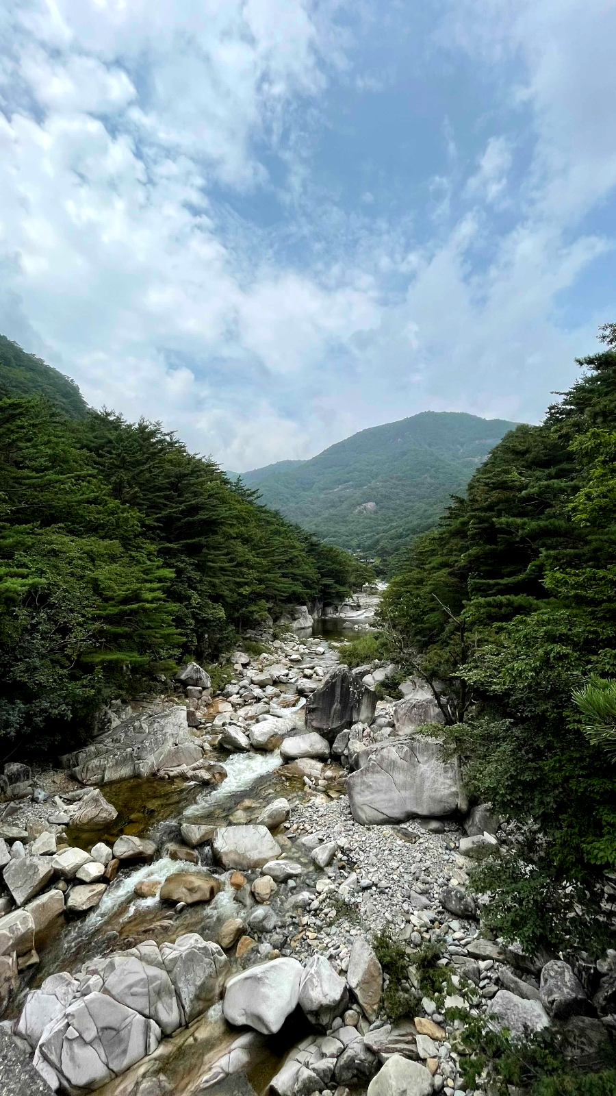 무릉계곡 초입 바위예술