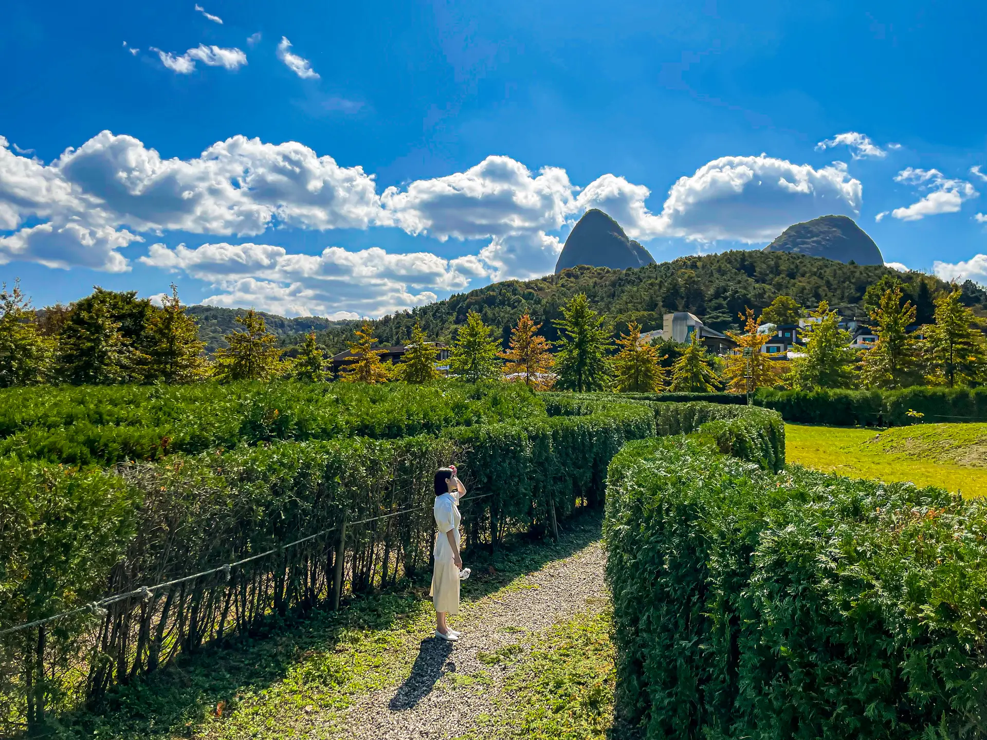 진안 마이정원 미로공원2