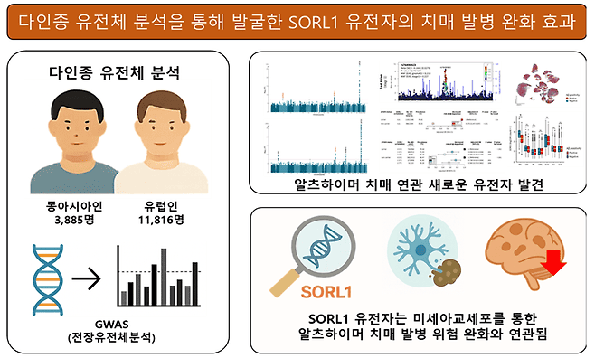 알츠하이머병 유전요인 대거 규명, 맞춤치료 시대 한 걸음 더!