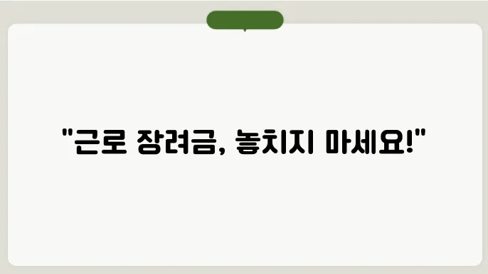 근로 장려금 다양한 사례