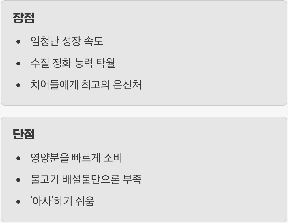 수초계의 국민 아이템, 하지만 까다롭다?