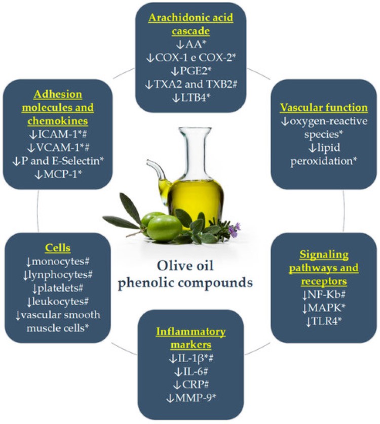 올리브오일 과다 섭취하면 살찐다? 효능과 부작용 완전 정복