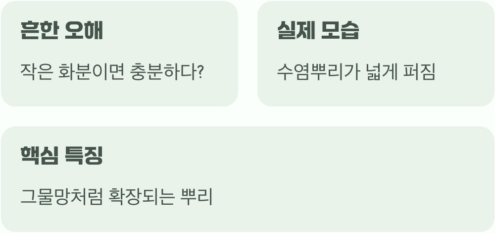 작은 얼굴 뒤에 숨겨진 반전