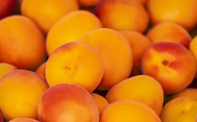 면역력을-높이는-방법-면역력에-좋은-음식-건강