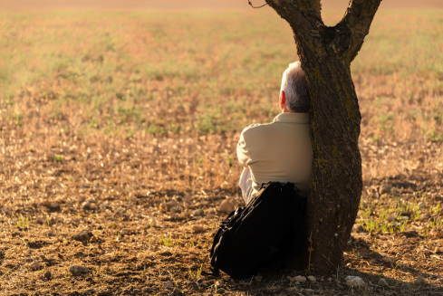 노년층혜택 관련 사진