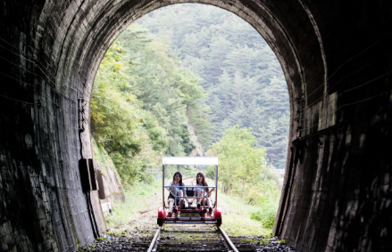 정선 레일바이크