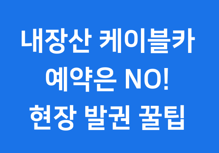내장산 케이블카