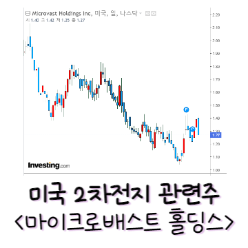 마이크로배스트 홀딩스 주가