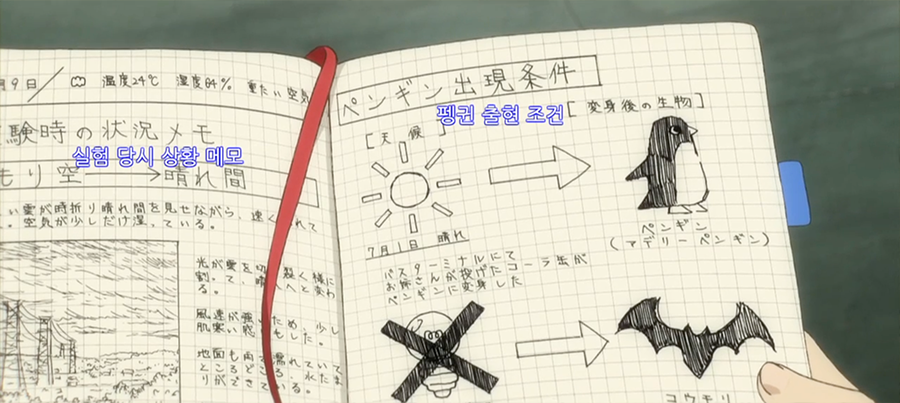 영화 '펭귄 하이웨이'